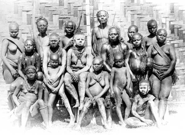 Tribe, tribal, people, extinct, culture, andamanese tribe, nenets tribe, rabari tribe, kalash tribe, batak tribe, maori tribe , el molo tribe, dukha tribe, goroka tribe, piraha tribe, tribal people of the world, indian tribe, asian tribe, african tribe, jarawa tribe, danger