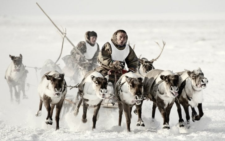 tribe, tribal, people, extinct, culture, andamanese tribe, nenets tribe, rabari tribe, kalash tribe, batak tribe, maori tribe , el molo tribe, dukha tribe, goroka tribe, piraha tribe, tribal people of the world, indian tribe, asian tribe, african tribe, jarawa tribe, danger