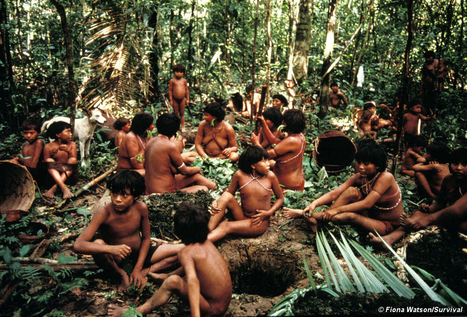 tribe, tribal, people, extinct, culture, andamanese tribe, nenets tribe, rabari tribe, kalash tribe, batak tribe, maori tribe , el molo tribe, dukha tribe, goroka tribe, piraha tribe, tribal people of the world, indian tribe, asian tribe, african tribe, jarawa tribe, danger