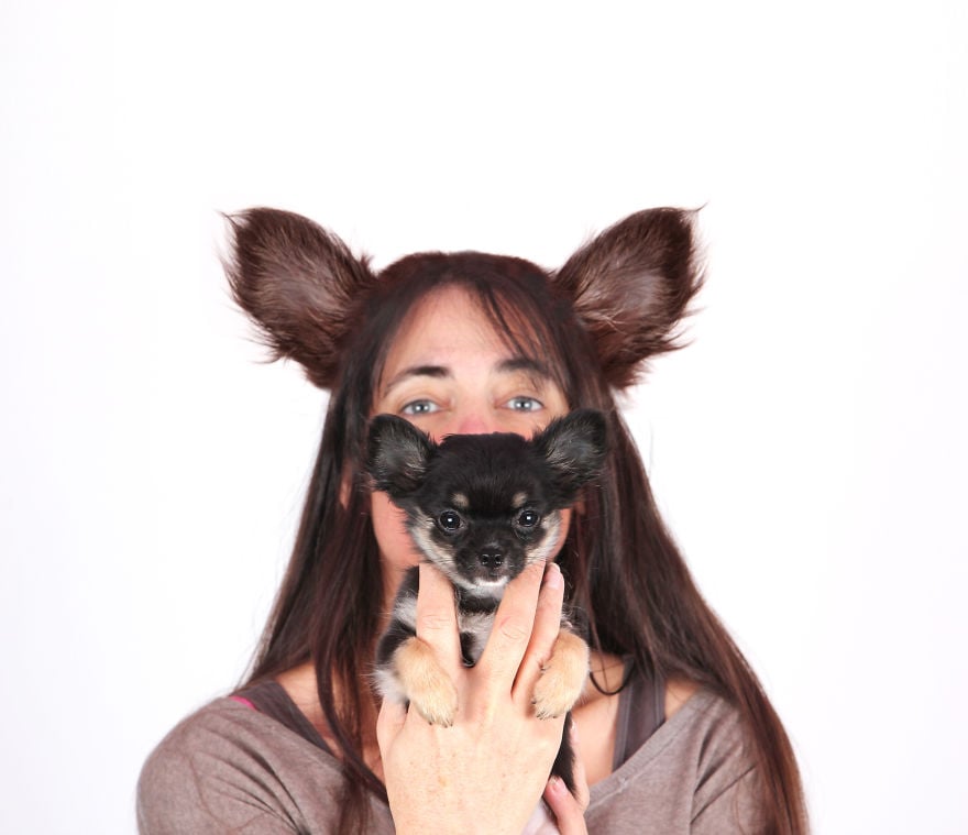 photography, animal, dog, puppy, Natacha Hulsebosch, Animal photography, dog photography, pebbles, pixel, studio photography, cute, adorable, amazing