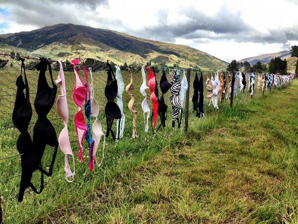 new zealand, new zealand facts, new zealand places, new zealand travel, mysterious, weird, lord of the rings, bra fence, things to do, visit before you die, amazing