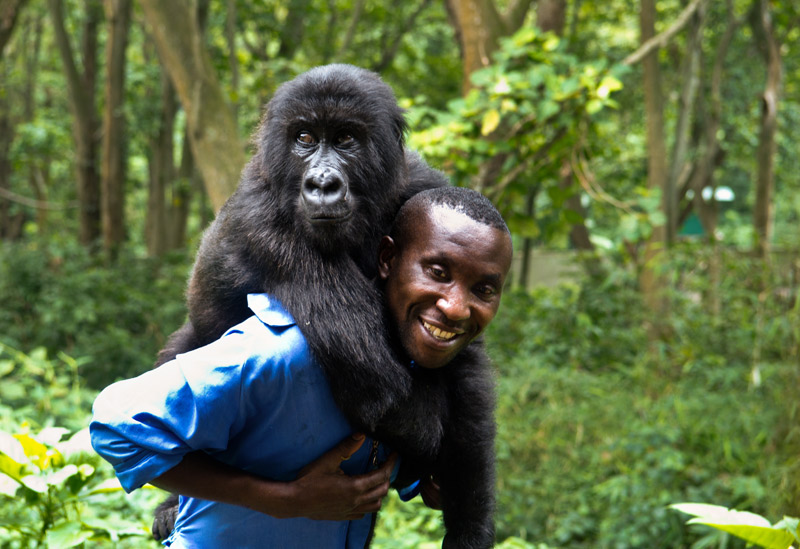 congo, africa, facts, brazzaville, african, weird, amazing, geography, people, interesting, culture, tribe