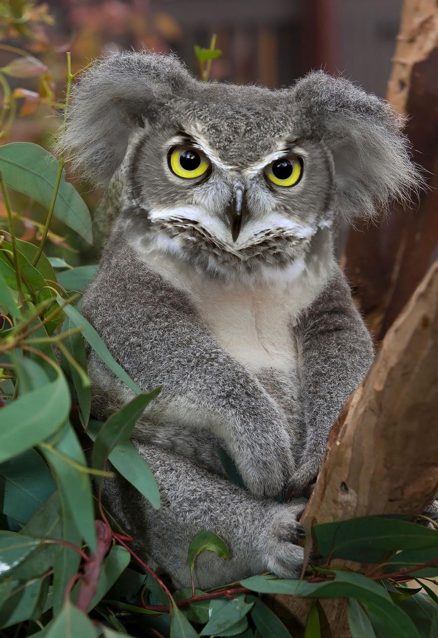 9 weird Photoshopped Animal Hybrids Bred | Reckon Talk 9 weird Photoshopped Animal Hybrids Bred | Reckon Talk
