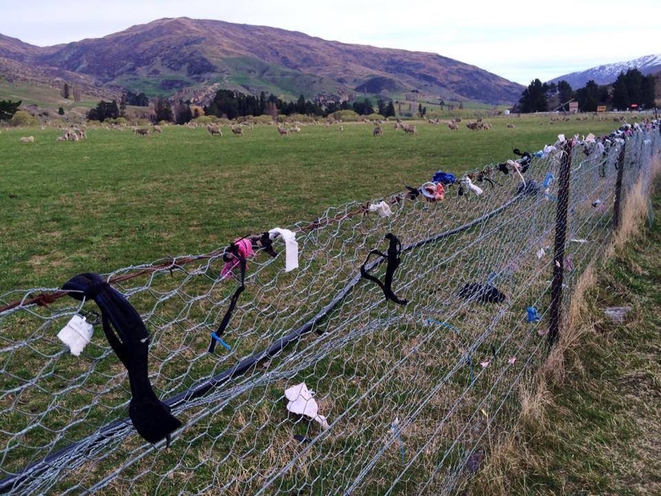 controversial, tourist attraction, weird, tourism, amazing, australia tourism, new zealand, bra fence, cardrona bra fence