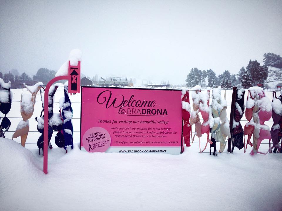 Controversial, tourist attraction, weird, tourism, amazing, australia tourism, new zealand, bra fence, cardrona bra fence