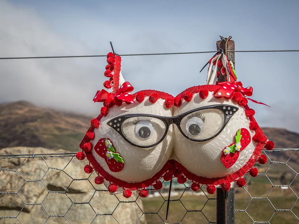 controversial, tourist attraction, weird, tourism, amazing, australia tourism, new zealand, bra fence, cardrona bra fence