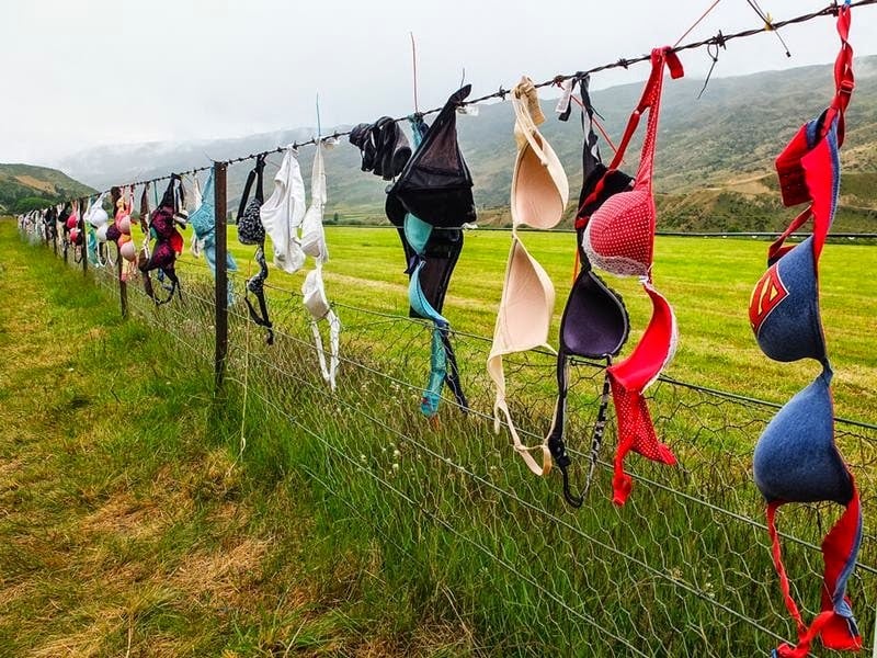 controversial, tourist attraction, weird, tourism, amazing, australia tourism, new zealand, bra fence, cardrona bra fence