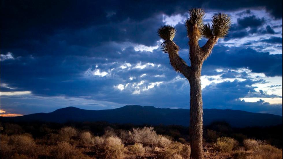 death valley, facts, america, national park, california, mojave desert, amazing, united states, vacation, mystery