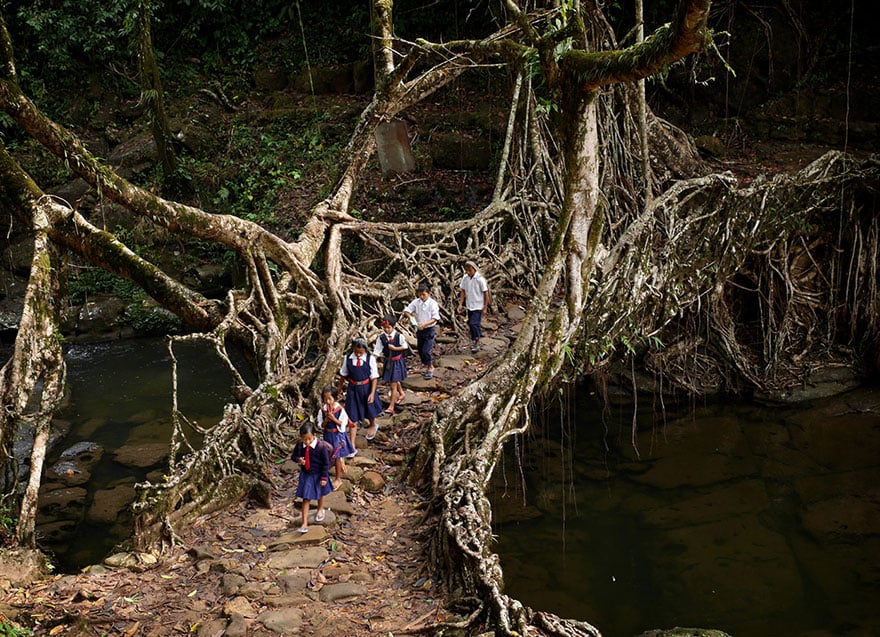 Dangerous, school, weird, photography, amazing, dangerous journey to school, asia, india school children, indonesia school, china school, colombia, african