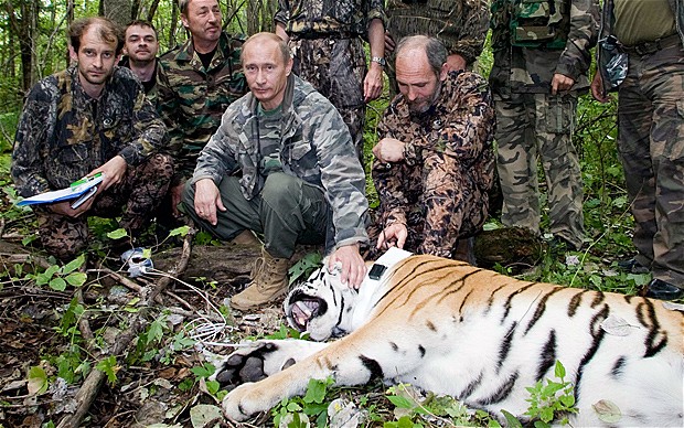 Vladimir-putin-tiger-rescue