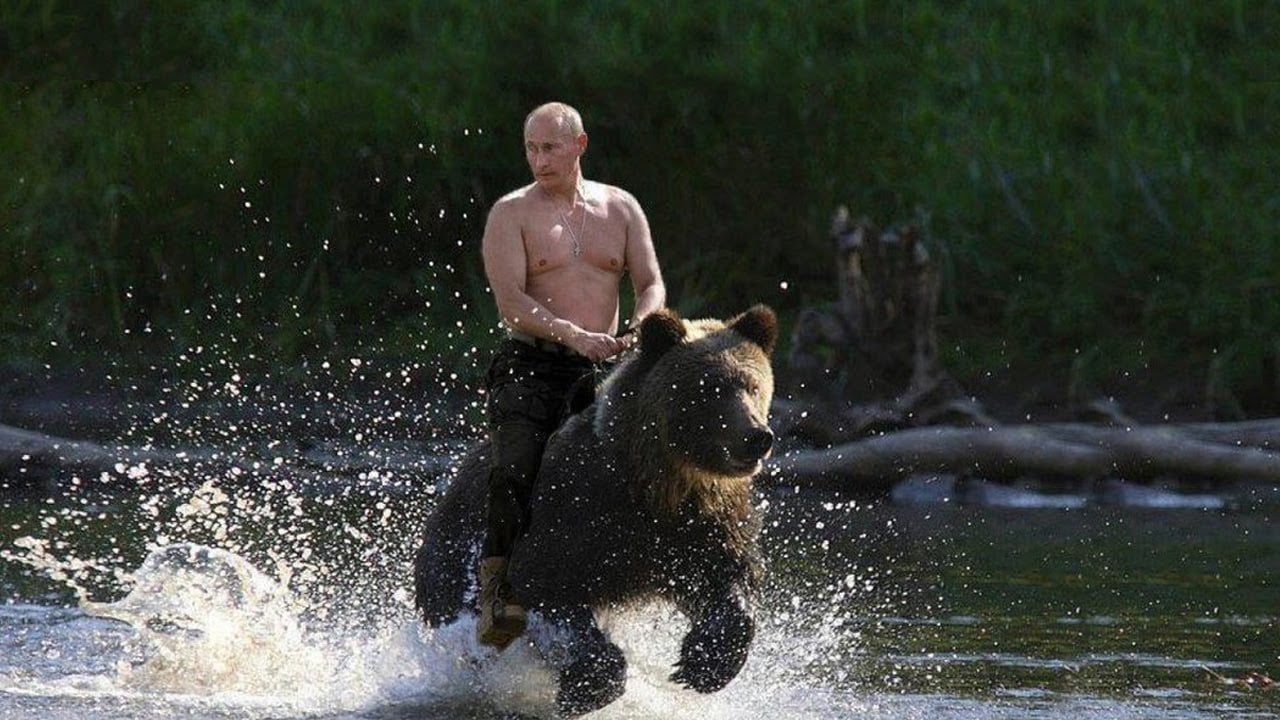 Vladimir putin on bear