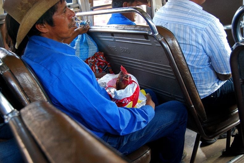 lol, omg facts, cool facts, wtf facts, amazing facts, guatemala, guatemala facts, guatemala culture, guatemala people, guatemala fun facts, facts for kids