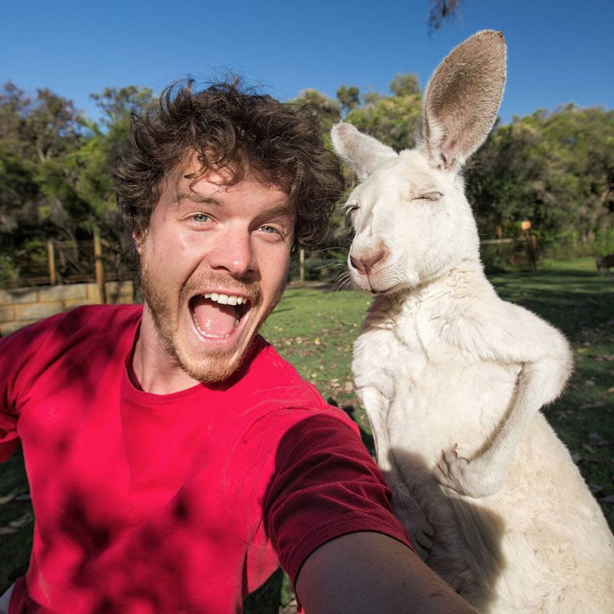 Allan dixon, selfie, animal selfie, viral, dr. Dolittle, selfies with wild animals, ireland, photographer, adventurer, traveller, amazing photos, #daxonsanimalselfies, instagram