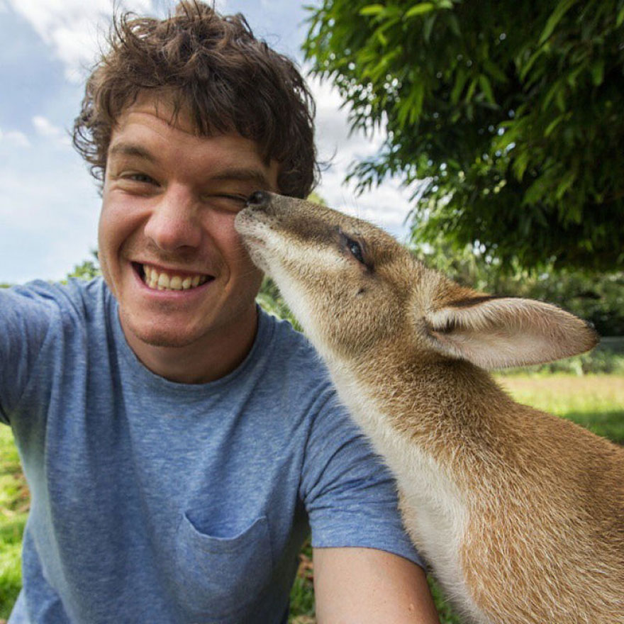 Allan dixon, selfie, animal selfie, viral, dr. Dolittle, selfies with wild animals, ireland, photographer, adventurer, traveller, amazing photos, #daxonsanimalselfies, instagram