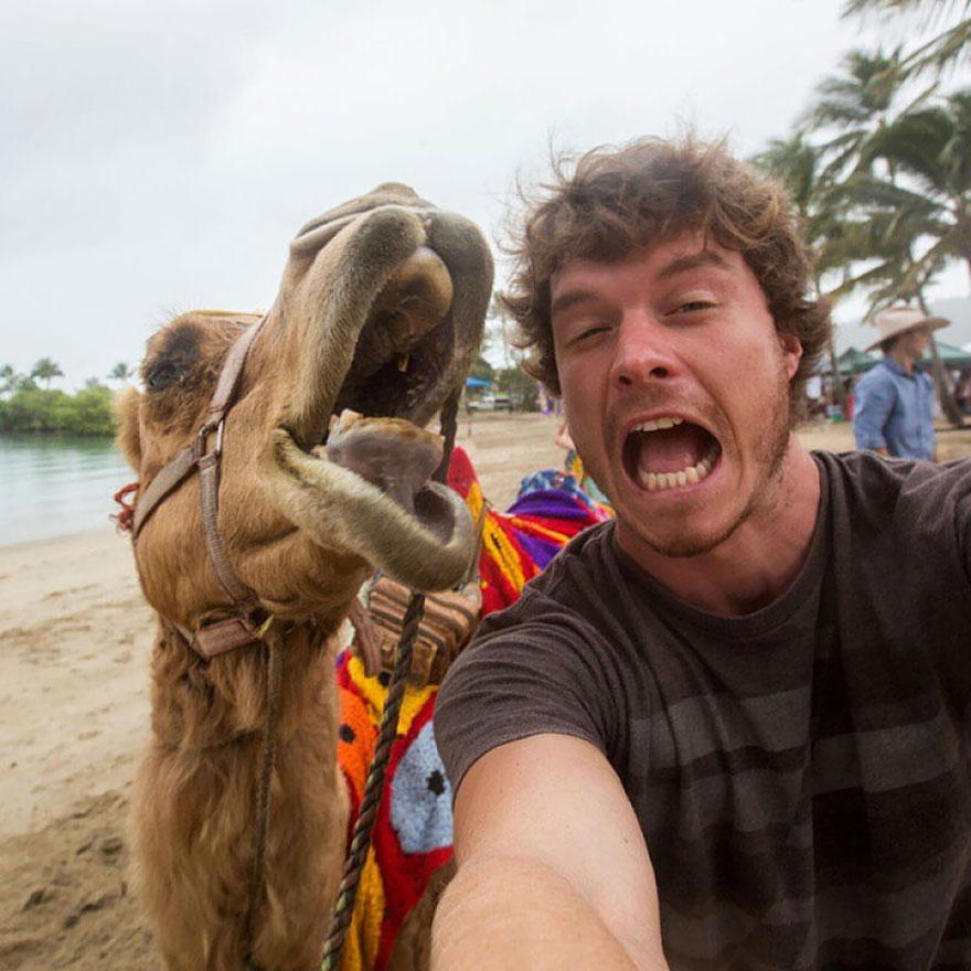 allan dixon, selfie, animal selfie, viral, dr. dolittle, selfies with wild animals, ireland, photographer, adventurer, traveller, amazing photos, #daxonsanimalselfies, instagram