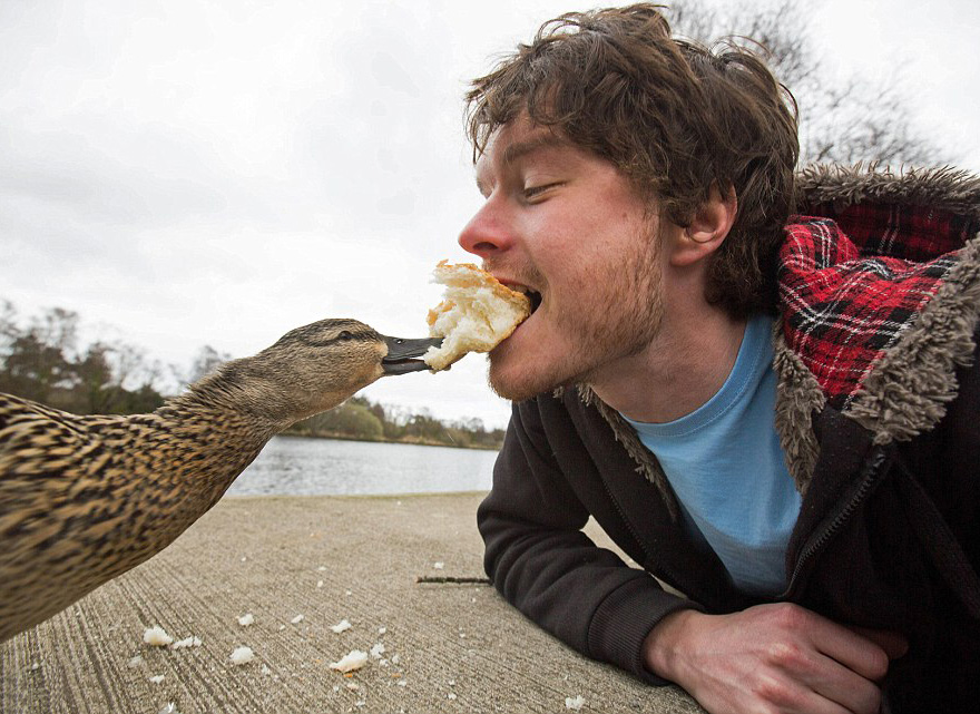 Allan dixon, selfie, animal selfie, viral, dr. Dolittle, selfies with wild animals, ireland, photographer, adventurer, traveller, amazing photos, #daxonsanimalselfies, instagram