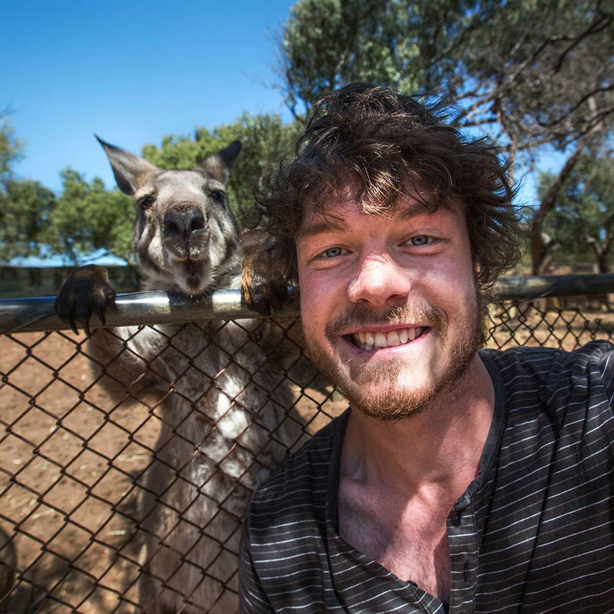 allan dixon, selfie, animal selfie, viral, dr. dolittle, selfies with wild animals, ireland, photographer, adventurer, traveller, amazing photos, #daxonsanimalselfies, instagram