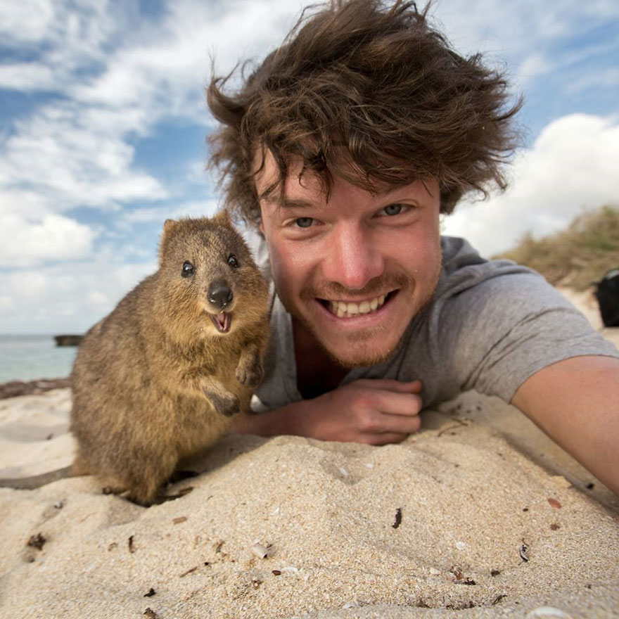 Allan dixon, selfie, animal selfie, viral, dr. Dolittle, selfies with wild animals, ireland, photographer, adventurer, traveller, amazing photos, #daxonsanimalselfies, instagram