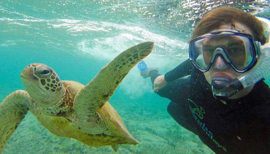 Allan dixon, selfie, animal selfie, viral, dr. Dolittle, selfies with wild animals, ireland, photographer, adventurer, traveller, amazing photos, #daxonsanimalselfies, instagram