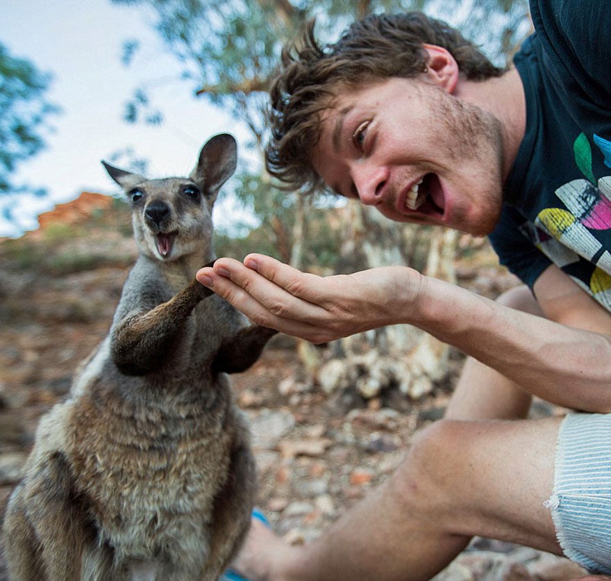 Allan dixon, selfie, animal selfie, viral, dr. Dolittle, selfies with wild animals, ireland, photographer, adventurer, traveller, amazing photos, #daxonsanimalselfies, instagram