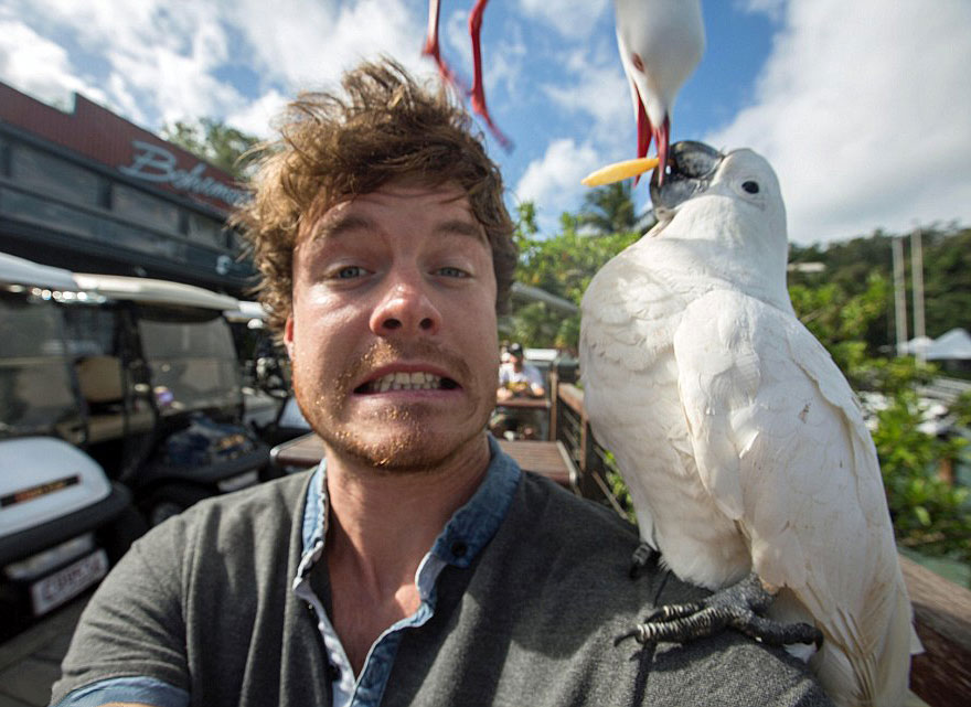 allan dixon, selfie, animal selfie, viral, dr. dolittle, selfies with wild animals, ireland, photographer, adventurer, traveller, amazing photos, #daxonsanimalselfies, instagram