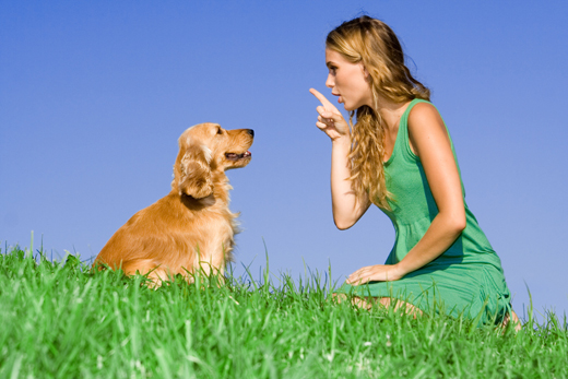 Animal Whispering (Romania)