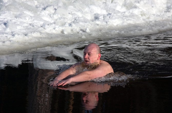 Frozen trunks (siberia)