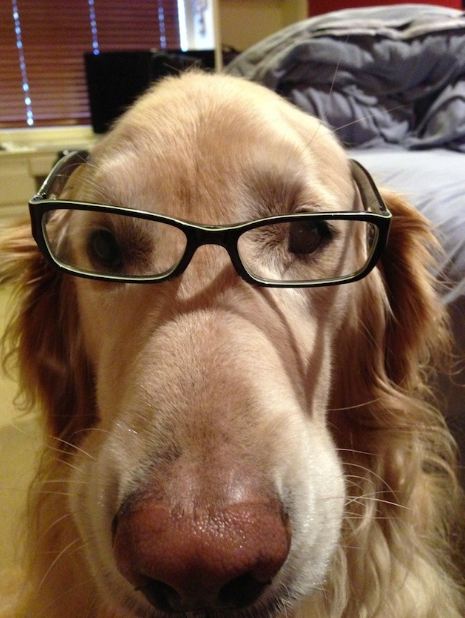 25 Crazy Animals Who Took Cute Selfies Better Then You | Reckon Talk 25 Crazy Animals Who Took Cute Selfies Better Then You | Reckon Talk
