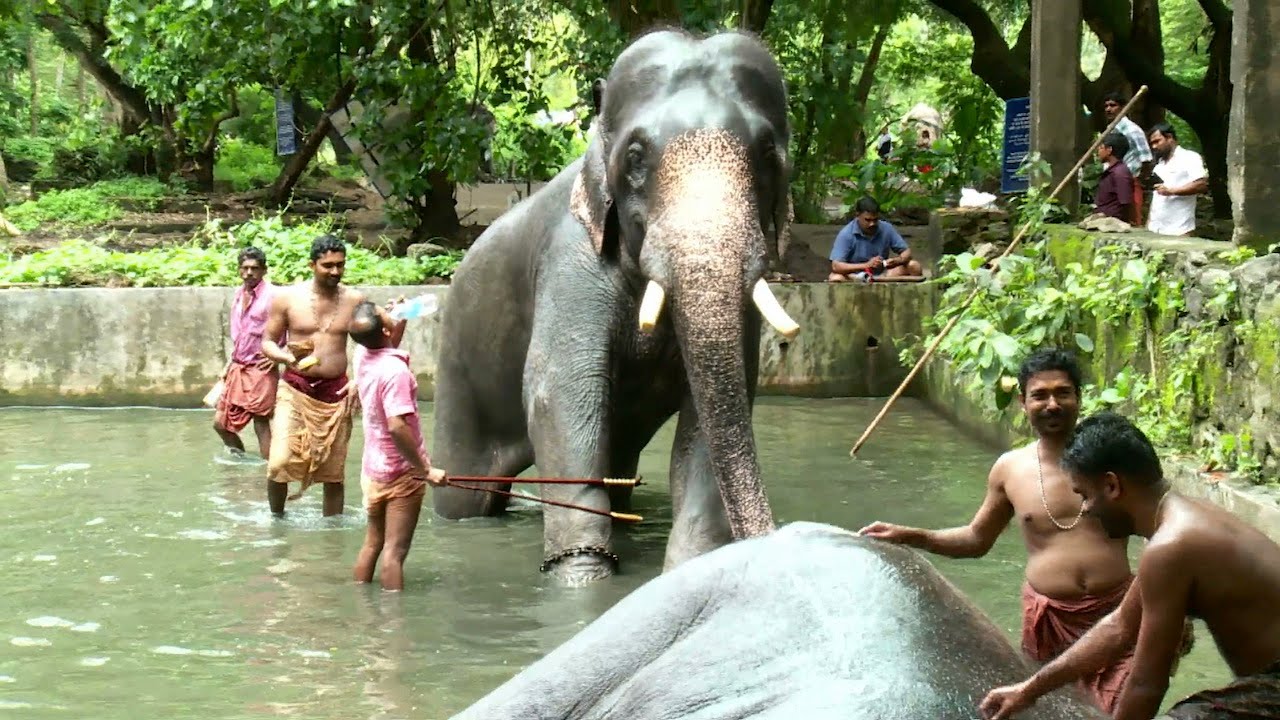 indian, ethnicity, people, amazing, incredible india, facts, weird, asia, indian should know, hinduism, culture, tourism, interesting facts about india, less known facts about india