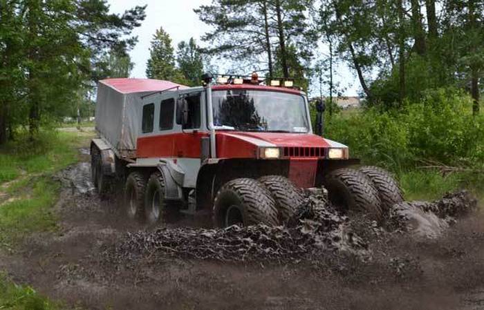 Belarus, monster truck, weird, wheel, russian, motor vehicles, offroad vehicles, russia, russian women, truck