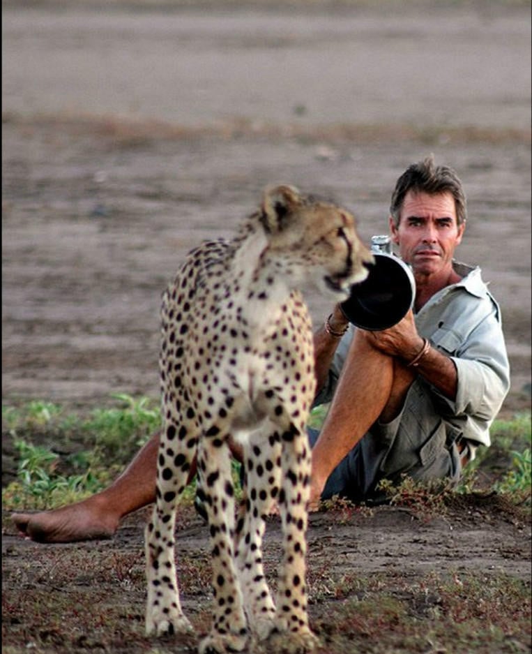 kim wolhuter, kim wolhuter photo, wildlife, photographer, photography, cheetah, selfie with animals, national geographic photo, discovery photo, most daring photographer, filmmaker, botswana, africa