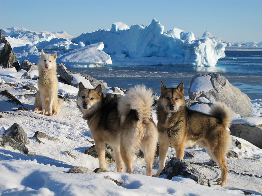 Uummannaq island, atlantic ocean, greenland, arctic, greenland facts, amazing, life, culture, tourism