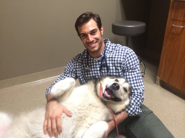 Evan antin, california, viral, hottest animal doctor, world's sexiest vet, evan antin photo, amazing, pet doctor