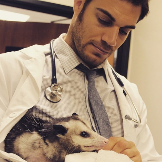 Evan antin, california, viral, hottest animal doctor, world's sexiest vet, evan antin photo, amazing, pet doctor