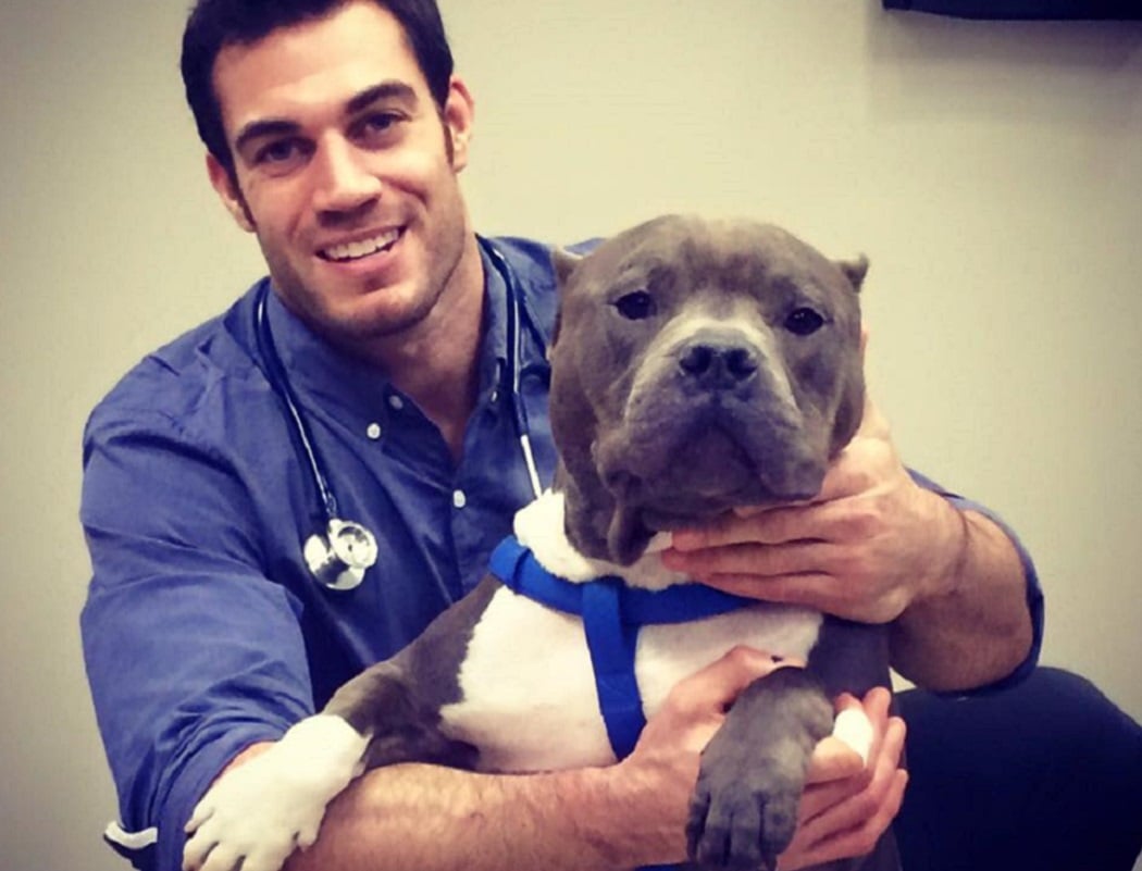 evan antin, california, viral, hottest animal doctor, world's sexiest vet, evan antin photo, amazing, pet doctor
