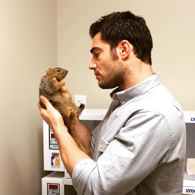 Evan antin, california, viral, hottest animal doctor, world's sexiest vet, evan antin photo, amazing, pet doctor