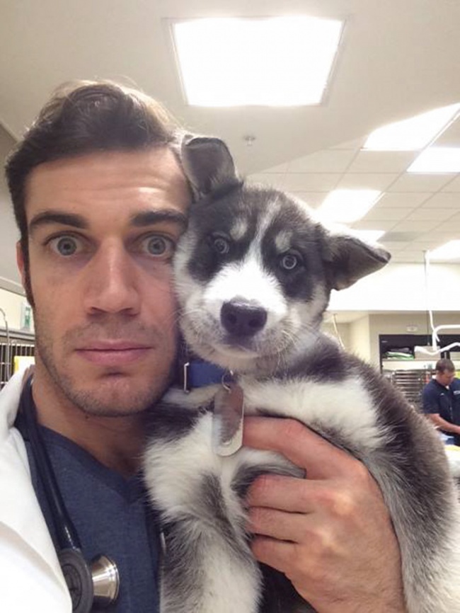 Evan antin, california, viral, hottest animal doctor, world's sexiest vet, evan antin photo, amazing, pet doctor