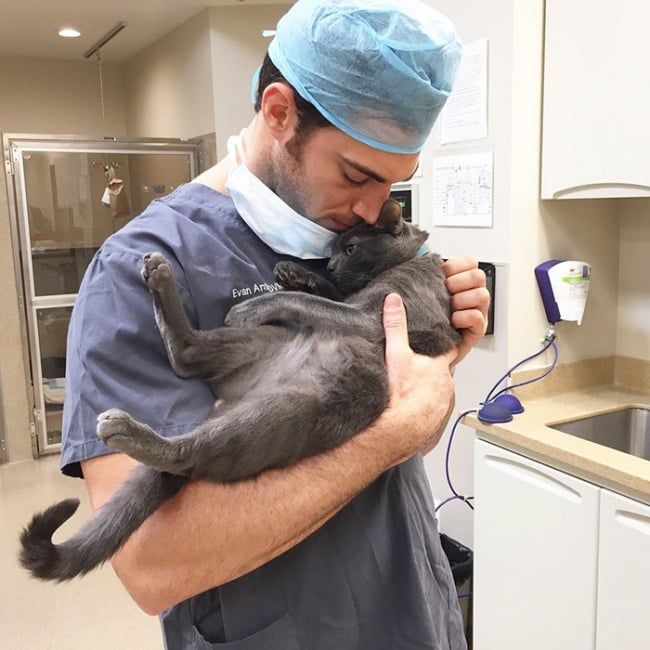 evan antin, california, viral, hottest animal doctor, world's sexiest vet, evan antin photo, amazing, pet doctor