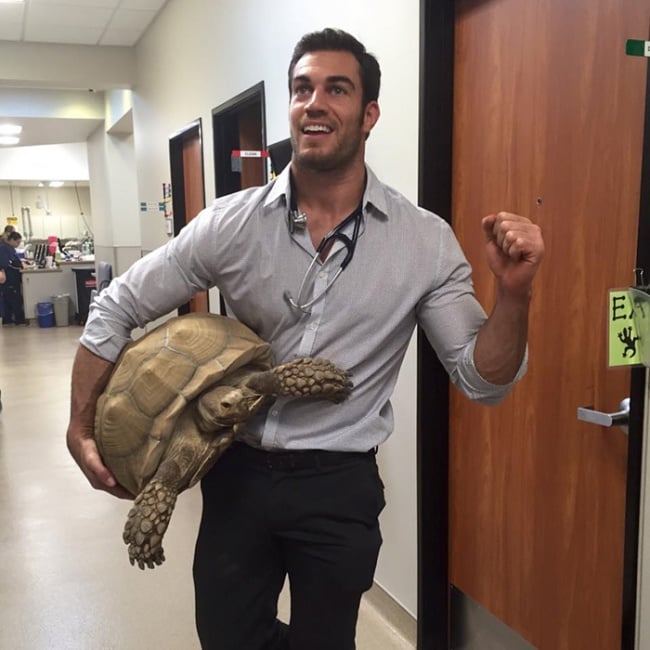 Evan antin, california, viral, hottest animal doctor, world's sexiest vet, evan antin photo, amazing, pet doctor