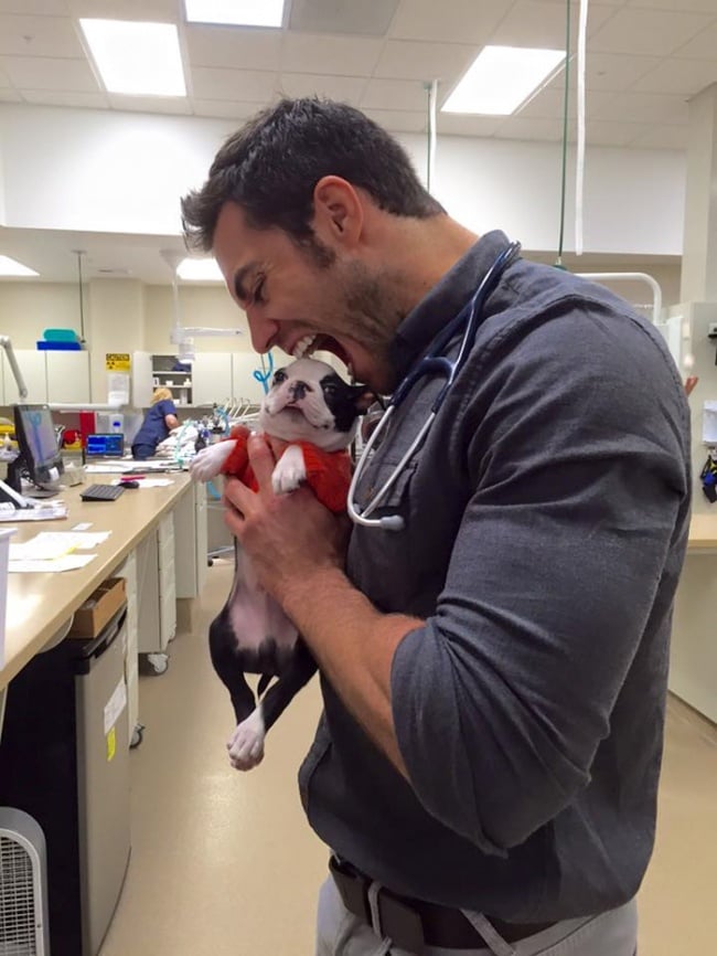 Evan antin, california, viral, hottest animal doctor, world's sexiest vet, evan antin photo, amazing, pet doctor