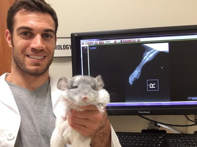 evan antin, california, viral, hottest animal doctor, world's sexiest vet, evan antin photo, amazing, pet doctor