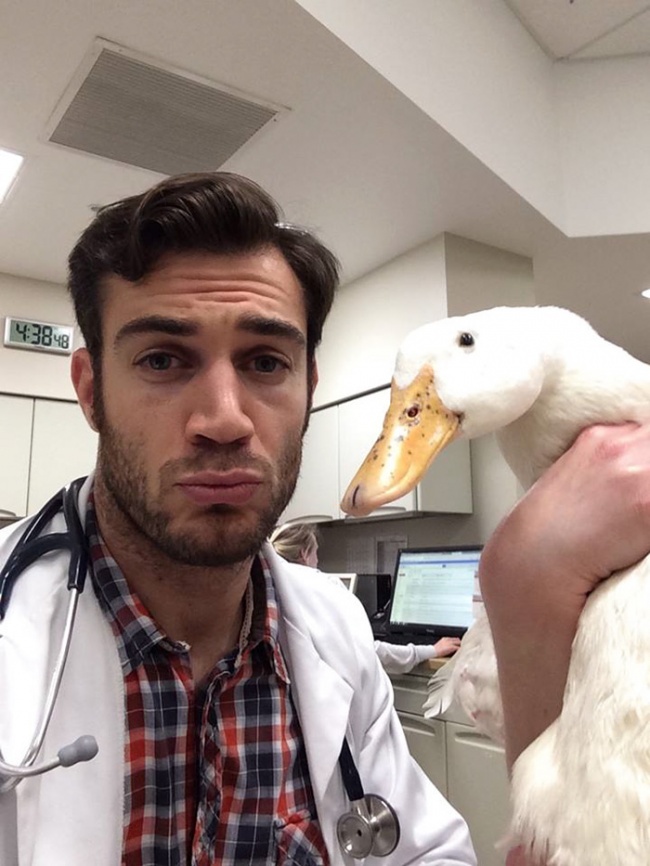 Evan antin, california, viral, hottest animal doctor, world's sexiest vet, evan antin photo, amazing, pet doctor