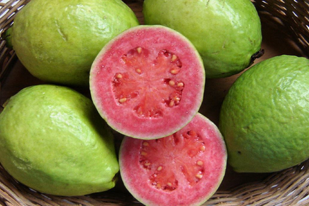 amrod, amrod ke fayde,benefits of amrod,benefits,amrod skin benefits,health facts,amrod benefit for health,health,health benefits, guava health benefits, guava benefits