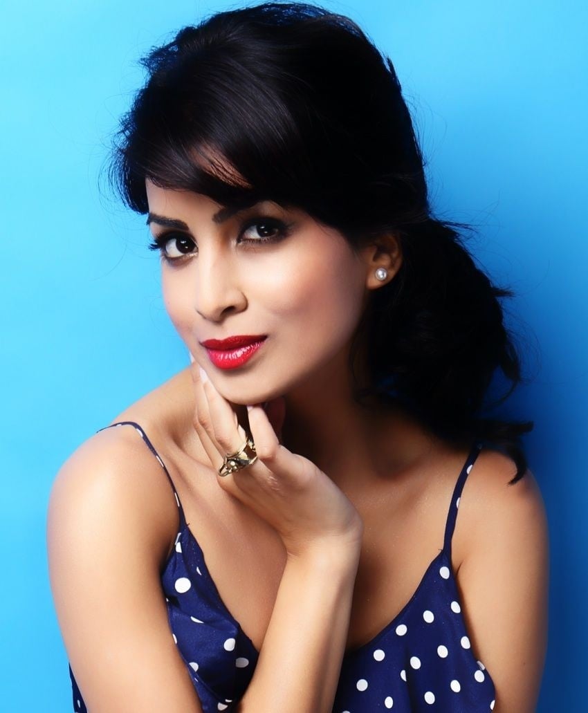 20 Hot & Spicy Photo's of Pallavi Sharda Profile Details.