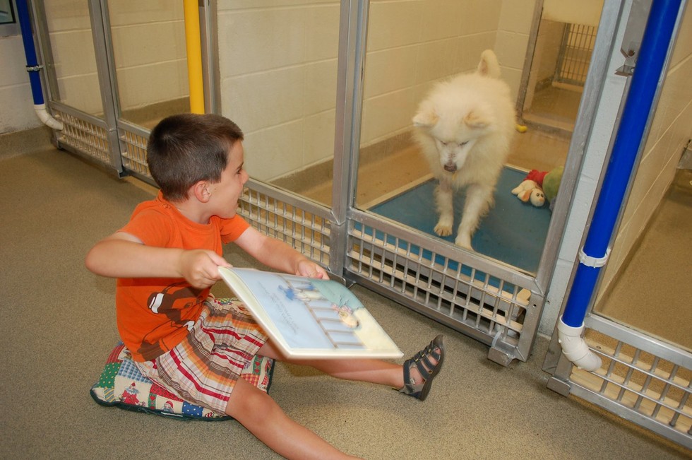 Animal shelter, dogs, animal lovers, photo, cute, aww, missouri, animal with kids, dog with child, united state of america