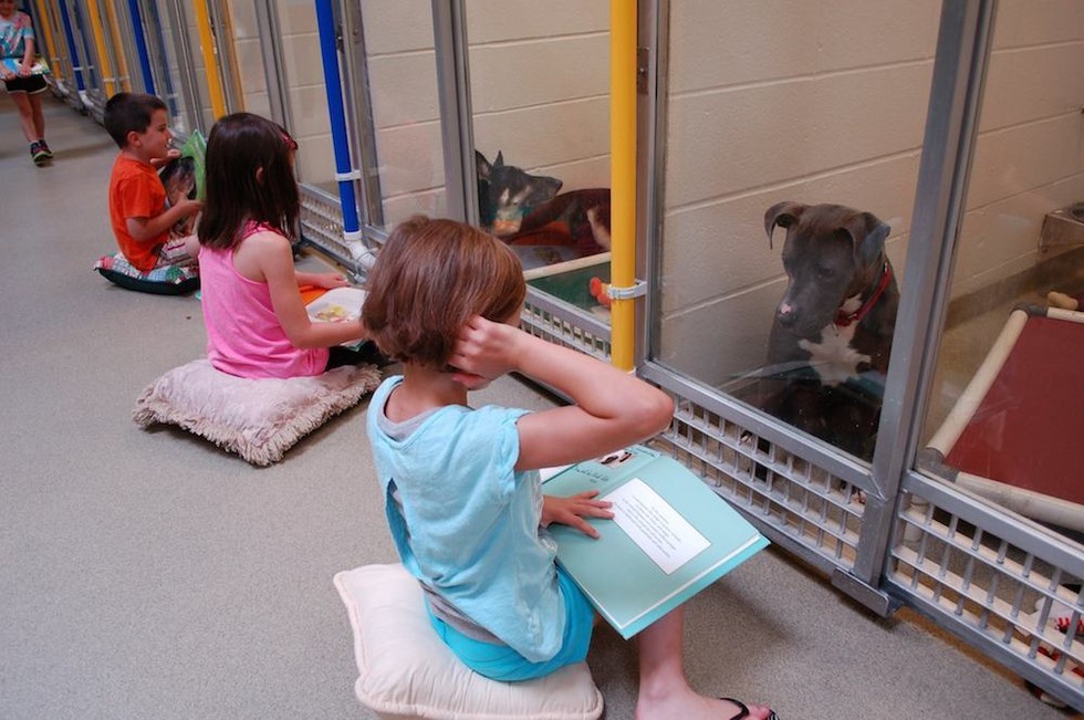 Animal shelter, dogs, animal lovers, photo, cute, aww, missouri, animal with kids, dog with child, united state of america