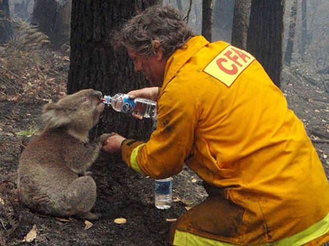 Humanity, photograph, photography, animal rescue photo, human animal, people saving animal, emotional, amazing, people, world, humanity, viral, story telling photographs, best photos, faith in humanity restored, most emotional photo, around the world, extraordinary photographs, incredibly photographs, real life story