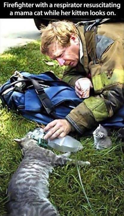 Humanity, photograph, photography, animal rescue photo, human animal, people saving animal, emotional, amazing, people, world, humanity, viral, story telling photographs, best photos, faith in humanity restored, most emotional photo, around the world, extraordinary photographs, incredibly photographs, real life story