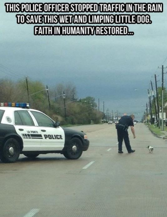 humanity, photograph, photography, animal rescue photo, human animal, people saving animal, emotional, amazing, people, world, humanity, viral, story telling photographs, best photos, faith in humanity restored, most emotional photo, around the world, extraordinary photographs, incredibly photographs, real life story