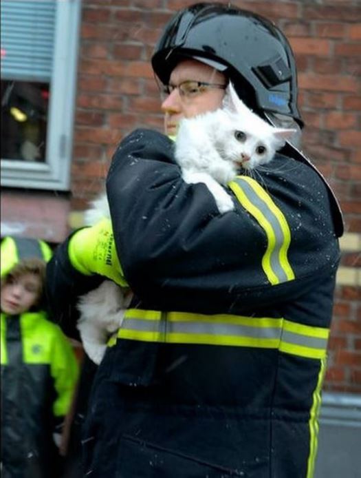 Humanity, photograph, photography, animal rescue photo, human animal, people saving animal, emotional, amazing, people, world, humanity, viral, story telling photographs, best photos, faith in humanity restored, most emotional photo, around the world, extraordinary photographs, incredibly photographs, real life story